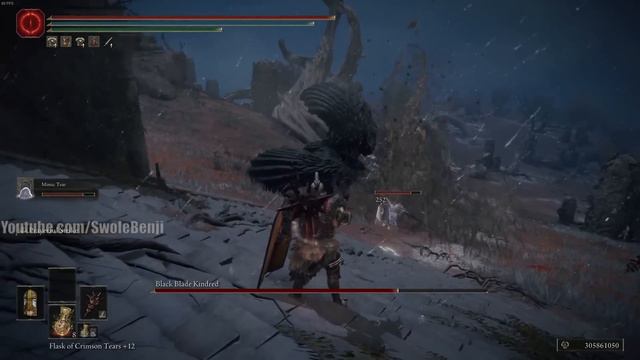 The best Mimic Tear TANK Setup in Elden Ring смотреть онлайн