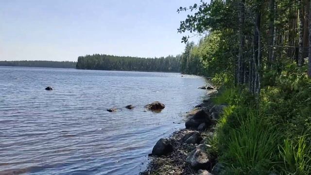 18 день. Бизнес идея по бруснике. смотреть онлайн