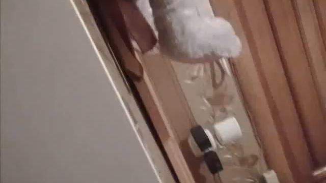 С днем влюбленных.wmv смотреть онлайн