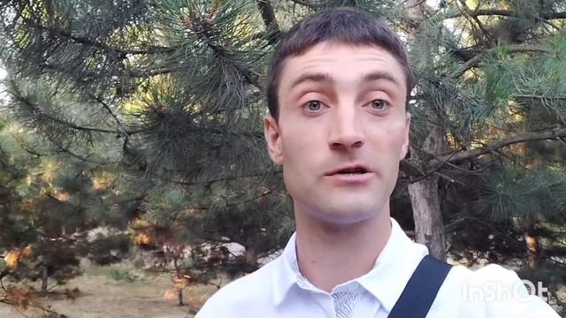 ЧЕМ отличается РАЗУМ ОТ МОЗГА, и ГДЕ СПРЯТАНА ДУША? смотреть онлайн