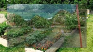 Молитва об успешном земледелии и перед посадкой деревьев.