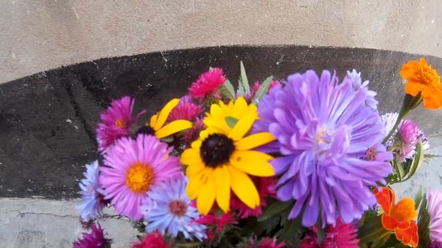 Скромный, но красочный букет - собран из таких цветов: чернобривцы, рудбекия, сентябринки, астра смотреть онлайн