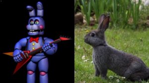 Аниматроники FNAF и Реальная жизнь.ФНАФ в реальности