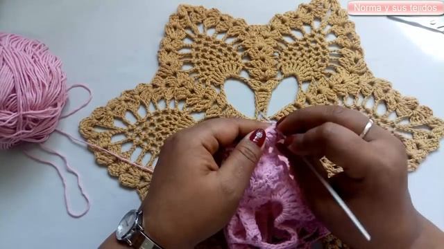 ?Carpeta con piñas a crochet o ganchillo?#carpetas #normaysustejidos смотреть онлайн