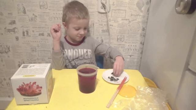 Влог: Волшебные кристаллы . Выращиваем кристалл. 1000 лет за 10 дней смотреть онлайн