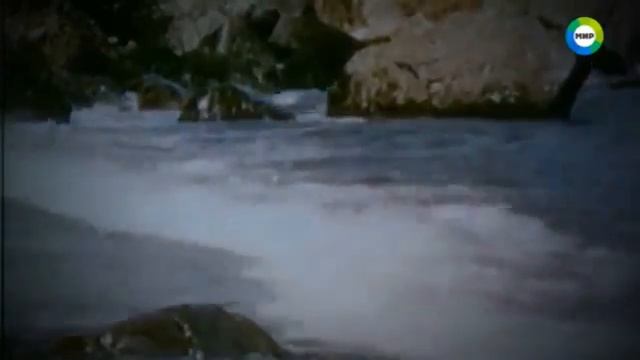 Ученые в шоке от того что обитает на дне океана!!! смотреть онлайн