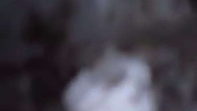 Ash gourd Split pigeon pea Coconut stew / lentil recipes /dinner recipe - Veg Recipes Episode : 60 смотреть онлайн