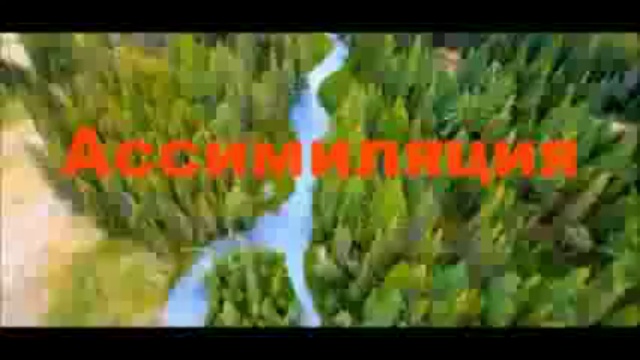 Новые жители города Томска смотреть онлайн