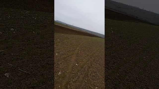 Всходы озимого чеснока 30 марта 2016 смотреть онлайн