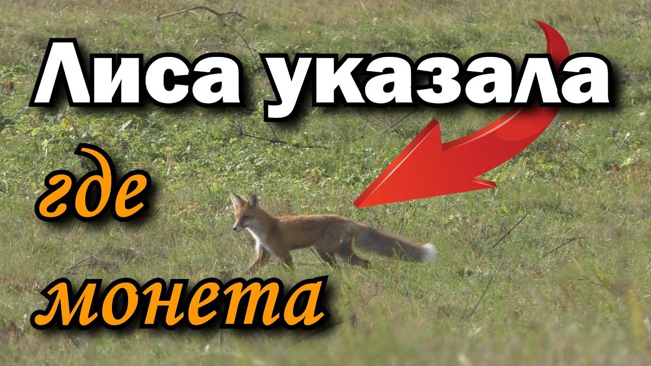 Лисий КОП смотреть онлайн