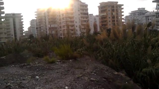 Банановые плантации в Турции смотреть онлайн