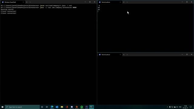 Echo Server Demonstration смотреть онлайн