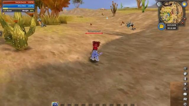 ROSE Online Leveling Guide 10-25 смотреть онлайн