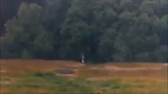 monty python endless running for 10 hours смотреть онлайн