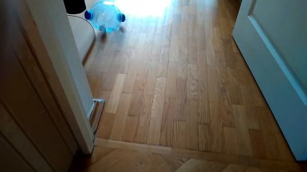 Прогулочный шар