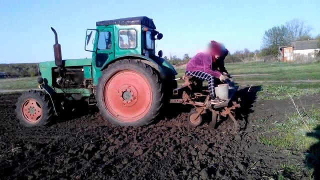 Самодельная картофельная сажалка на трактор т-40 смотреть онлайн