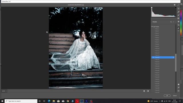 new camera raw presets free download. смотреть онлайн