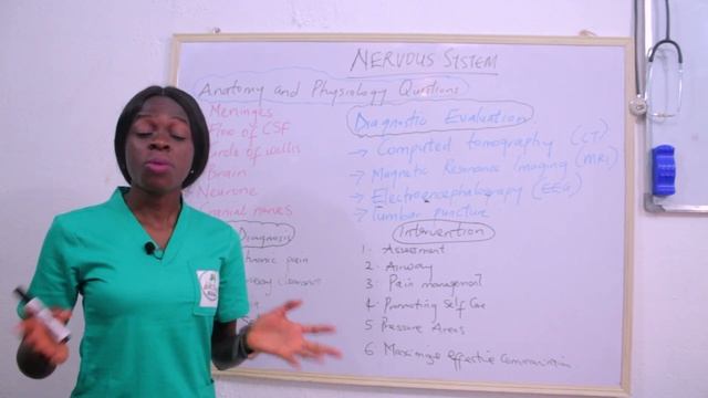 Key points on nervous system смотреть онлайн
