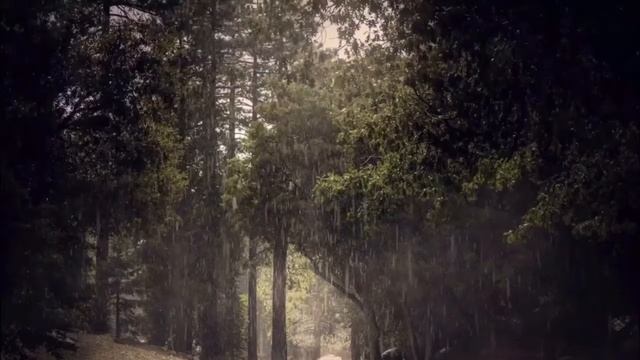 Шум дождя смотреть онлайн