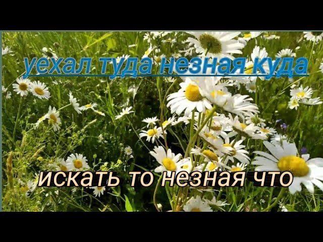 Коп чермета с ТХ850, Нашол скошенное поле.