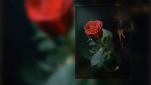 ТЫ ТОЛЬКО НЕ ДАЙ СЕБЯ ЛАПАТЬ ДРУГИМ смотреть онлайн