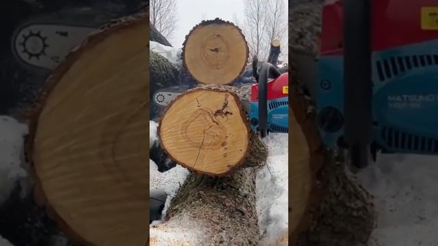 Matsumoto - справится с любой задачей смотреть онлайн