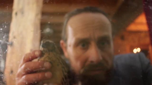 Albert meets other quail chicks. They came from supermarket eggs too. смотреть онлайн