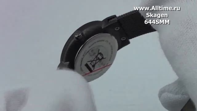 Женские наручные датские часы Skagen 644SMM смотреть онлайн