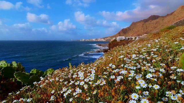 30 октября день ОСИЯ КОЛЕСНИК. Как привлечь удачу в свой дом! ЧТО МОЖНО И НЕЛЬЗЯ ДЕЛАТЬ 30 октбря смотреть онлайн