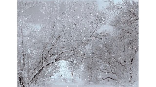 А в парке тысячи снежинок... Читает Демирина. And there are thousands of snowflakes in the park... смотреть онлайн
