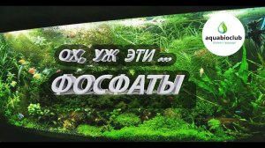 Фосфаты в аквариуме. Норма, польза и вред.