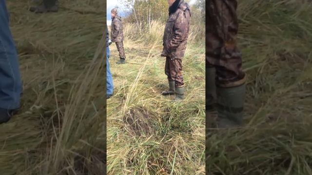Хайлюкс 2015 смотреть онлайн