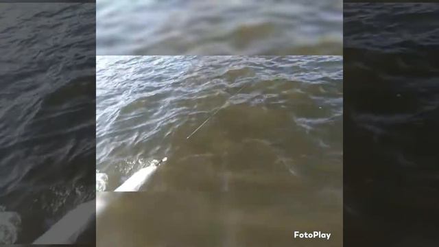 Супер рыбалка в Астрахани 2021, село Чаган. Щука, жерех, судак, окунь. смотреть онлайн