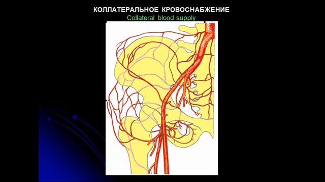 Лекция № 1 Основы ОХТА смотреть онлайн