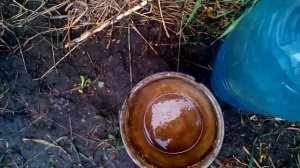 Как развести воду с уксусом для кроликов