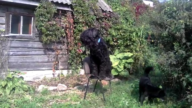 VID_20170910_131459 смотреть онлайн