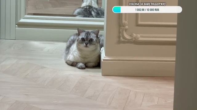 Ириска не толстячок смотреть онлайн