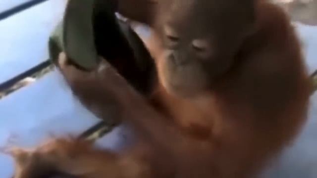 Life Could Be A Dream смотреть онлайн