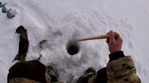 Зимняя ловля окуня на блесну!!!