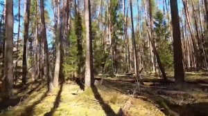 Влад Бахов полная история пропажи подростка. Рассказ родителей.