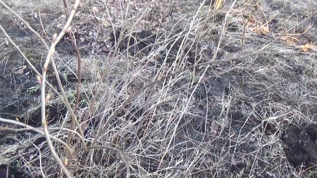 Дом 18. День пятый. Лучше делать, чем болтать смотреть онлайн