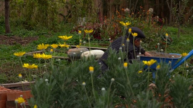 Old Style Cooking Lamb In Underground Tandoor