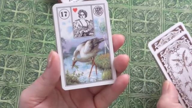 Lenormand Pt 3 Card Basics смотреть онлайн