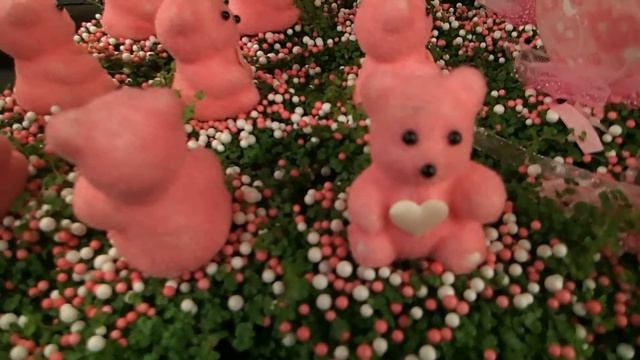 Valentine's Helexine - Soleirolia soleirolii смотреть онлайн