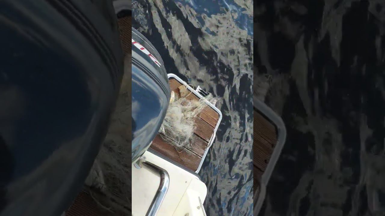 головняк водомоторника смотреть онлайн