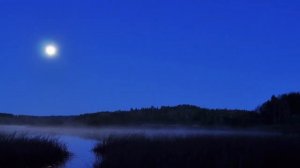 Л Бетховен  Лунная соната  Часть 1