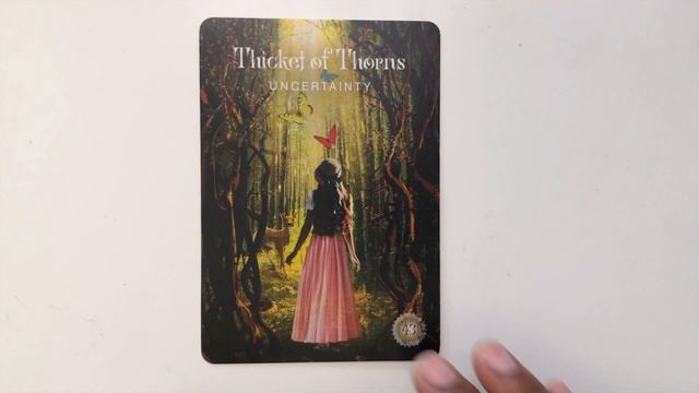 OUT OF THE BOX: NEW DECK (General Reading.) смотреть онлайн