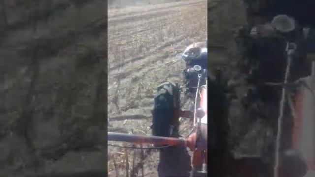 По полю на мтз 05 смотреть онлайн