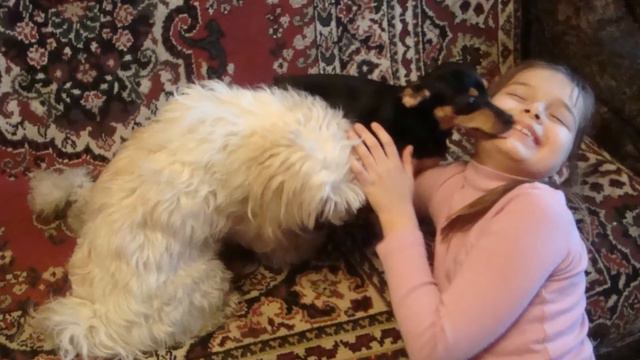 ЛЯ-ЛЯ,БУ-БУ И СОСЕДКА СОНЕЧКА смотреть онлайн