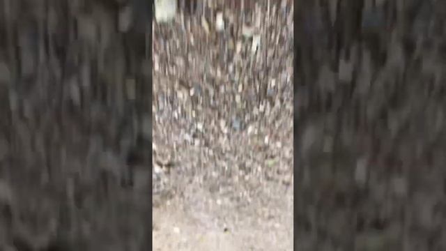 4 д/з курс Моментум. Путешествуй с телефоном. смотреть онлайн